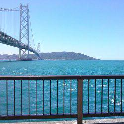 コッパメジナにチャリコ!