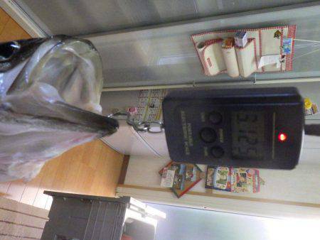 カヤックジギング