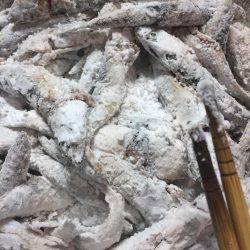 ハマチかシーバス狙いが・・・