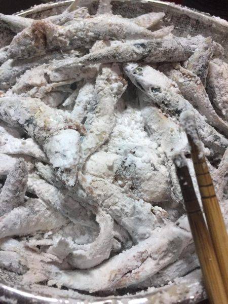 ハマチかシーバス狙いが・・・