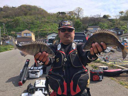 由良渡船 釣果