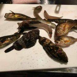 十目達成のファミリーフィッシング