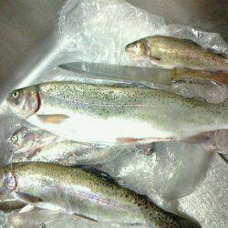 良心的な釣り場で　毎年行きます～