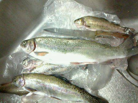 良心的な釣り場で　毎年行きます～