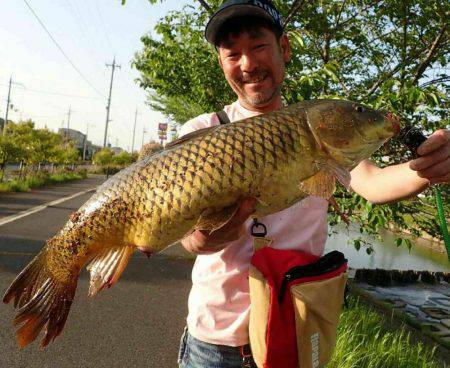 たまにはのんびりカープフィッシング