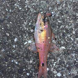 久々に海南方面へ