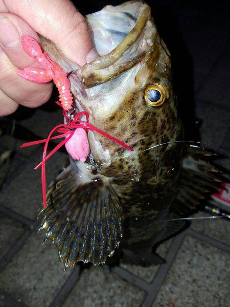 ロックロックこんばんわ‼