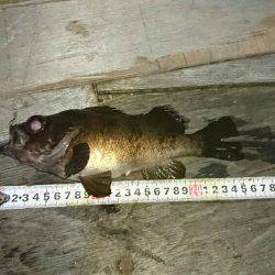 またまた淡路遠征