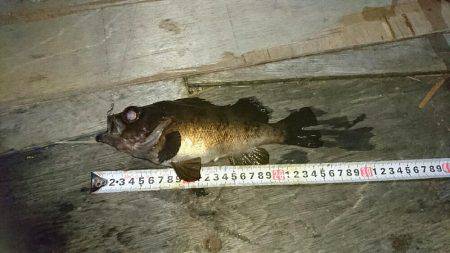 またまた淡路遠征