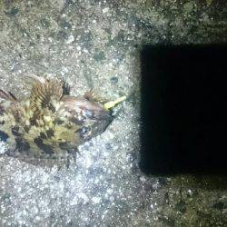 雨の日は釣れる？