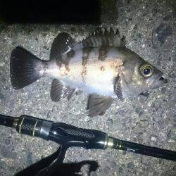 タイミングが？