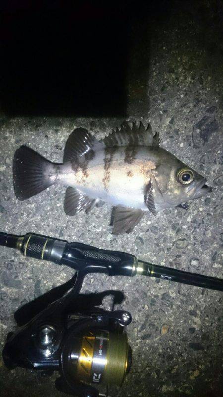 タイミングが？