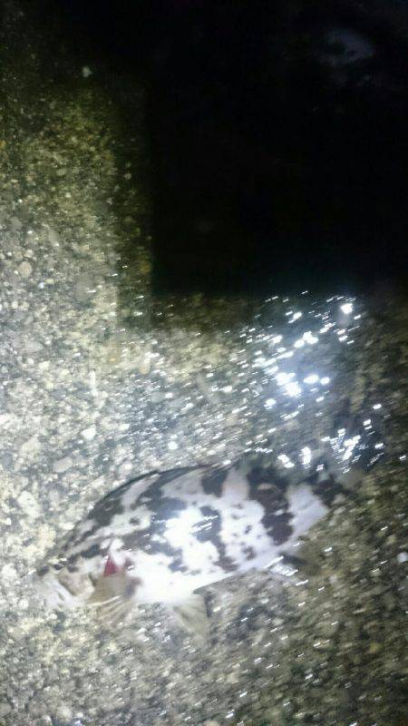 雨にもまけず。