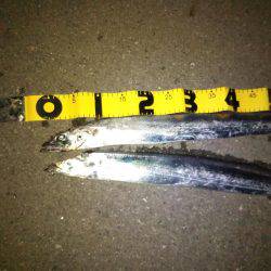 渋いなりにも何とか。。。