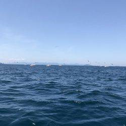 マイボートジギング&餌釣り釣行