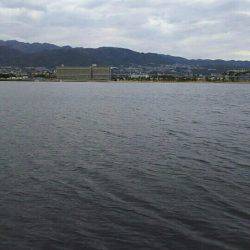 今夜もシーバス