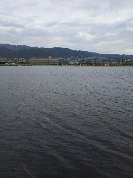 今夜もシーバス