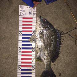 リバーチニング@国分川