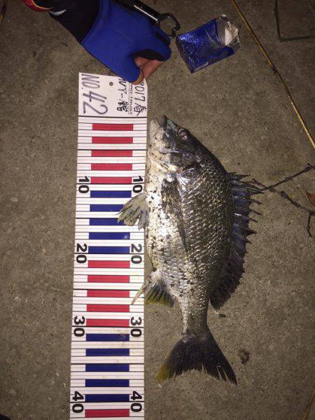 リバーチニング@国分川