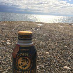 いつも通りのサイズ