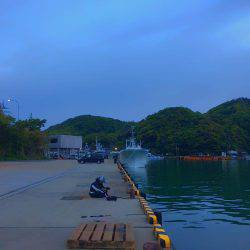 エビ撒きでイェーーイ