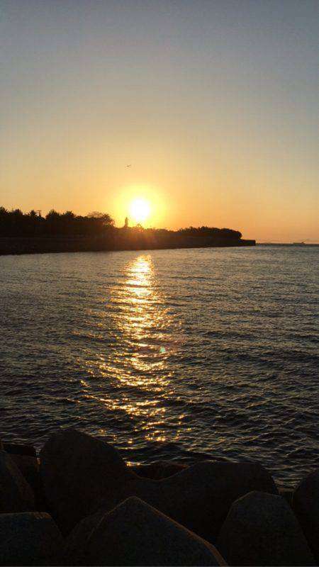 アブシン発見！