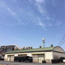 またまたエビ撒き