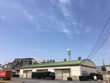 またまたエビ撒き