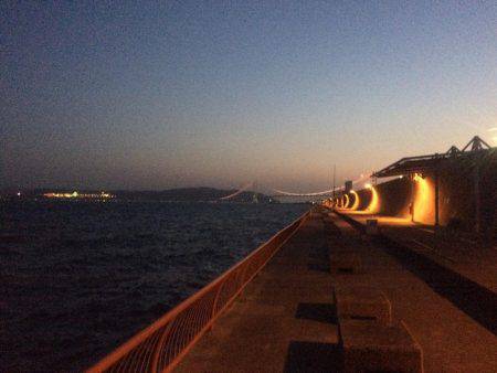 小さいけどやっと今期初の明石鯛!