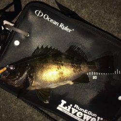 ランガンメバリング