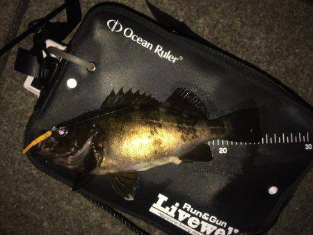 ランガンメバリング