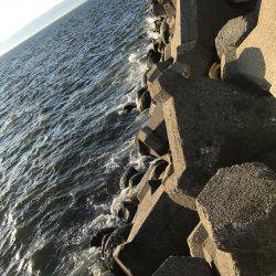 ルワーとエサ釣り