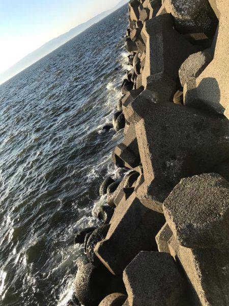 ルワーとエサ釣り