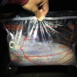 初春イカ♪初キロUP