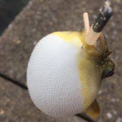 ランガンで攻め続けた結果…