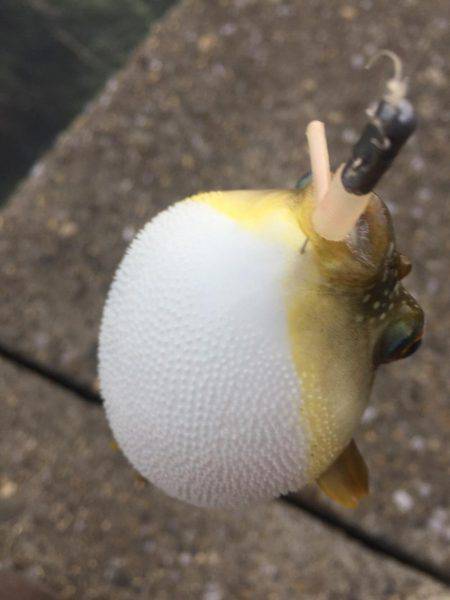 ランガンで攻め続けた結果…