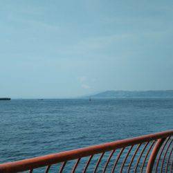 チヌを釣りたかったけど…