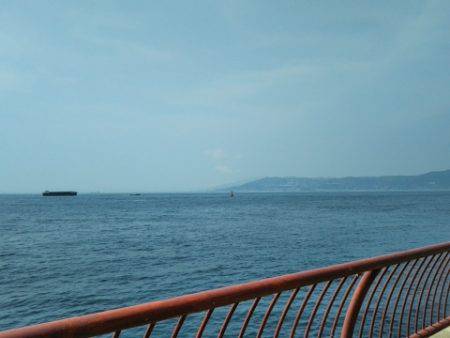 チヌを釣りたかったけど…