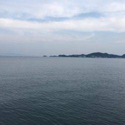 紀州釣りでもエソ