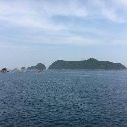 イカ、釣れません