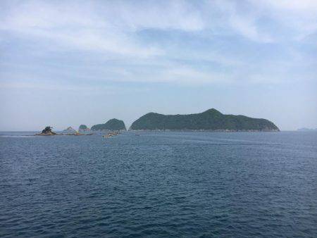 イカ、釣れません