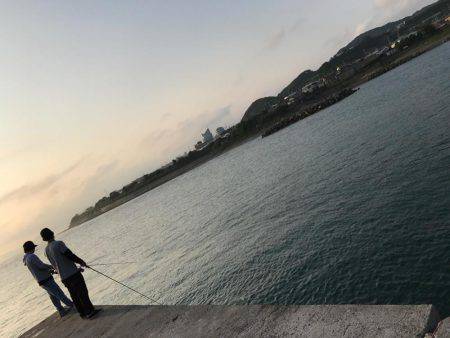 なんと真鯛が( ゚д゚)