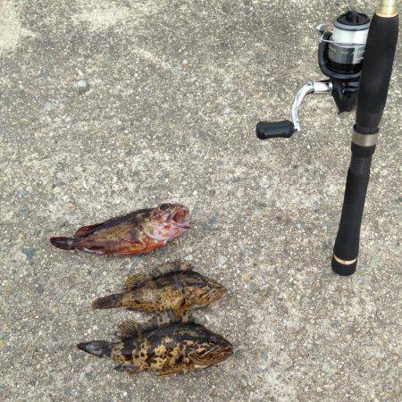 ガシメバリング！！朝まづめ狙い