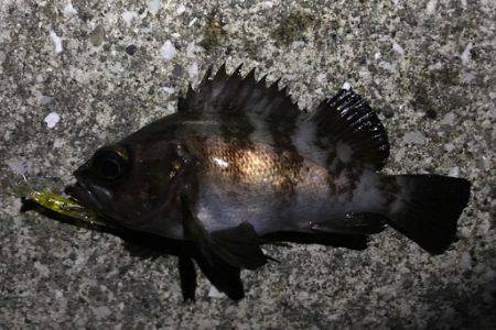 １つのプラグでしか反応ない...