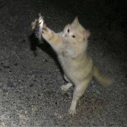 爆釣ポイント探し！