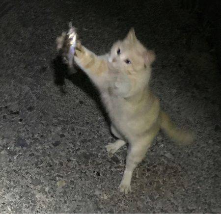 爆釣ポイント探し！