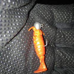 アジングタックルでチニング年なし