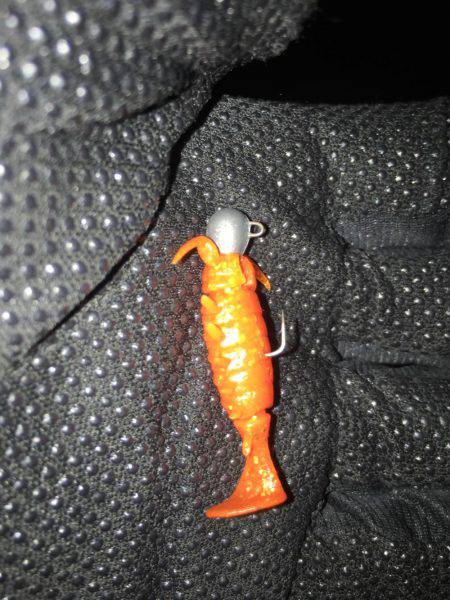 アジングタックルでチニング年なし