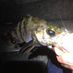 自作フロート炸裂！