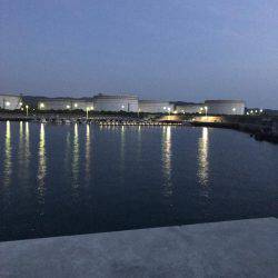 やっと春イカ…